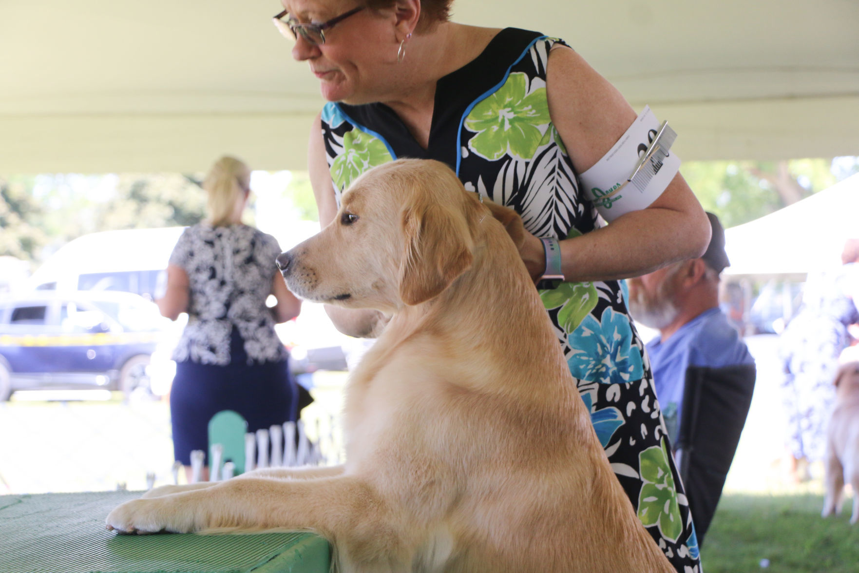 Dog show